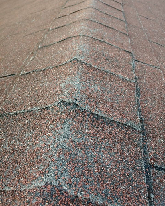 Shingle Roof Care