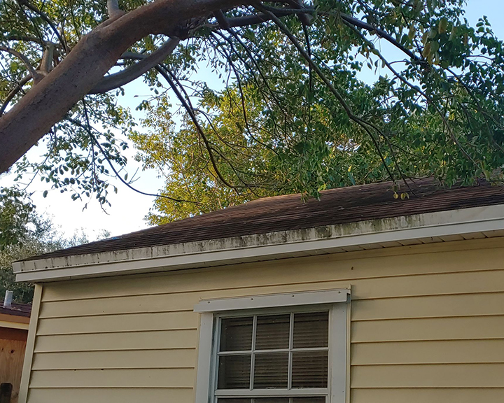  Tree branches lay over the roof